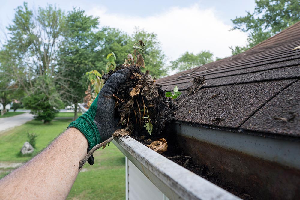 gutter cleaning